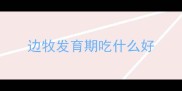 边牧发育期吃什么好