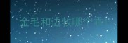 金毛和边牧哪个乖