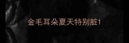 金毛耳朵夏天特别脏
