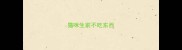 猫咪生前不吃东西