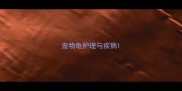 宠物龟护理与疾病