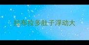 拉布拉多肚子浮动大
