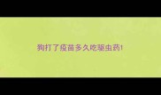 狗打了疫苗多久吃驱虫药