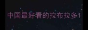 中国最好看的拉布拉多