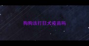狗狗该打狂犬疫苗吗