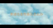 泰迪出血性肠炎怎么办