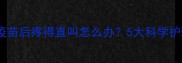 狗狗接种疫苗后疼得直叫怎么办5大科学护理全攻略
