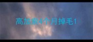 高加索4个月掉毛