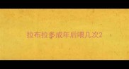 拉布拉多成年后喂几次