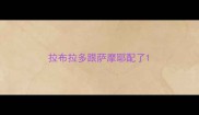 拉布拉多跟萨摩耶配了