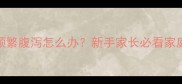 2个月博美频繁腹泻怎么办新手家长必看家庭护理指南