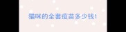 猫咪的全套疫苗多少钱