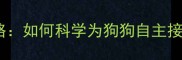 宠物疫苗全攻略如何科学为狗狗自主接种及避坑指南