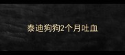 泰迪狗狗2个月吐血