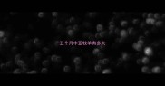 五个月中亚牧羊有多大