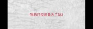 狗狗打疫苗是为了防