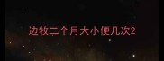 边牧二个月大小便几次