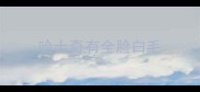 哈士奇有全脸白毛