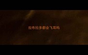 拉布拉多都会飞耳吗
