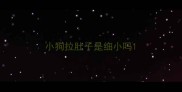 小狗拉肚子是细小吗