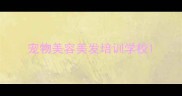 宠物美容美发培训学校