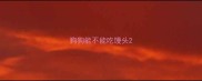 狗狗能不能吃馒头