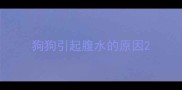狗狗引起腹水的原因