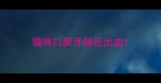 猫咪口臭牙龈还出血