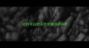 边牧可以吃人吃的驱虫药吗