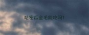 哈密瓜金毛能吃吗