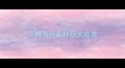 小狗为什么打狂犬疫苗