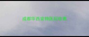 成都华西宠物医院收费