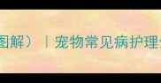 宠物医师临床手册附图解宠物常见病护理全攻略养宠人必看