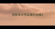 边牧多大可以进行训练