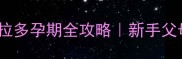 30天倒计时拉布拉多孕期全攻略新手父母必看产前护理指南
