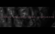 边牧领养必看新手养边牧的10大避坑指南从饮食到训练全攻略