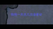 狗狗一天洗几次澡最好