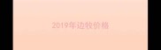 2019年边牧价格