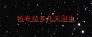 拉布拉多几天屈虫