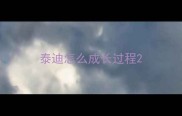 泰迪怎么成长过程