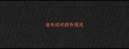 金毛幼犬颜色很浅