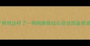 救命我家狗子突然这样了狗狗膀胱结石症状图鉴附紧急处理指南