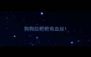 狗狗拉粑粑有血丝