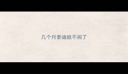 几个月泰迪就不闹了