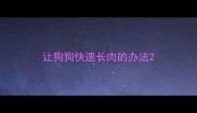 让狗狗快速长肉的办法
