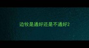 边牧是通好还是不通好