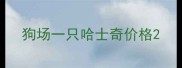狗场一只哈士奇价格