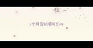 2个月雪纳瑞可怕冷