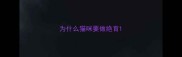为什么猫咪要做绝育