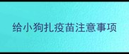 给小狗扎疫苗注意事项